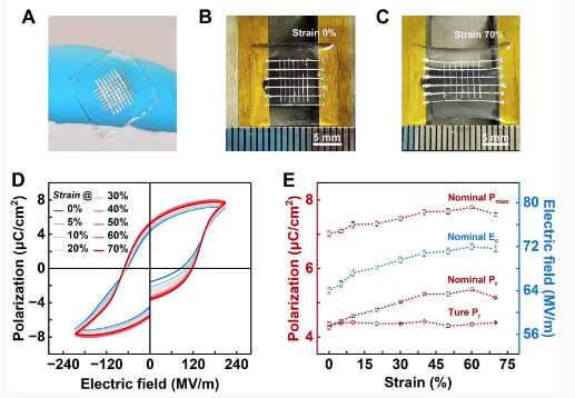 可穿戴!我国科学家率先打造出有弹性的铁电材料