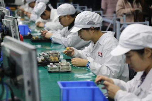 聚 链 成群 向 新 而行 郑州积极培育壮大20条重点产业链