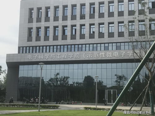 成实外国际部携手电子科大大数据研究中心,打造前沿科技探索环境